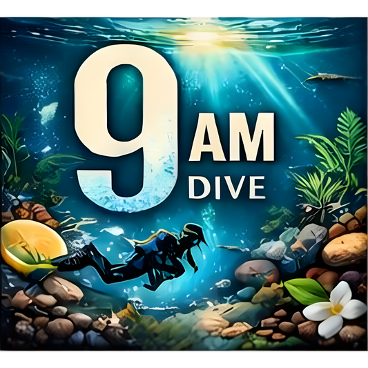 9 am Dive de Afnan